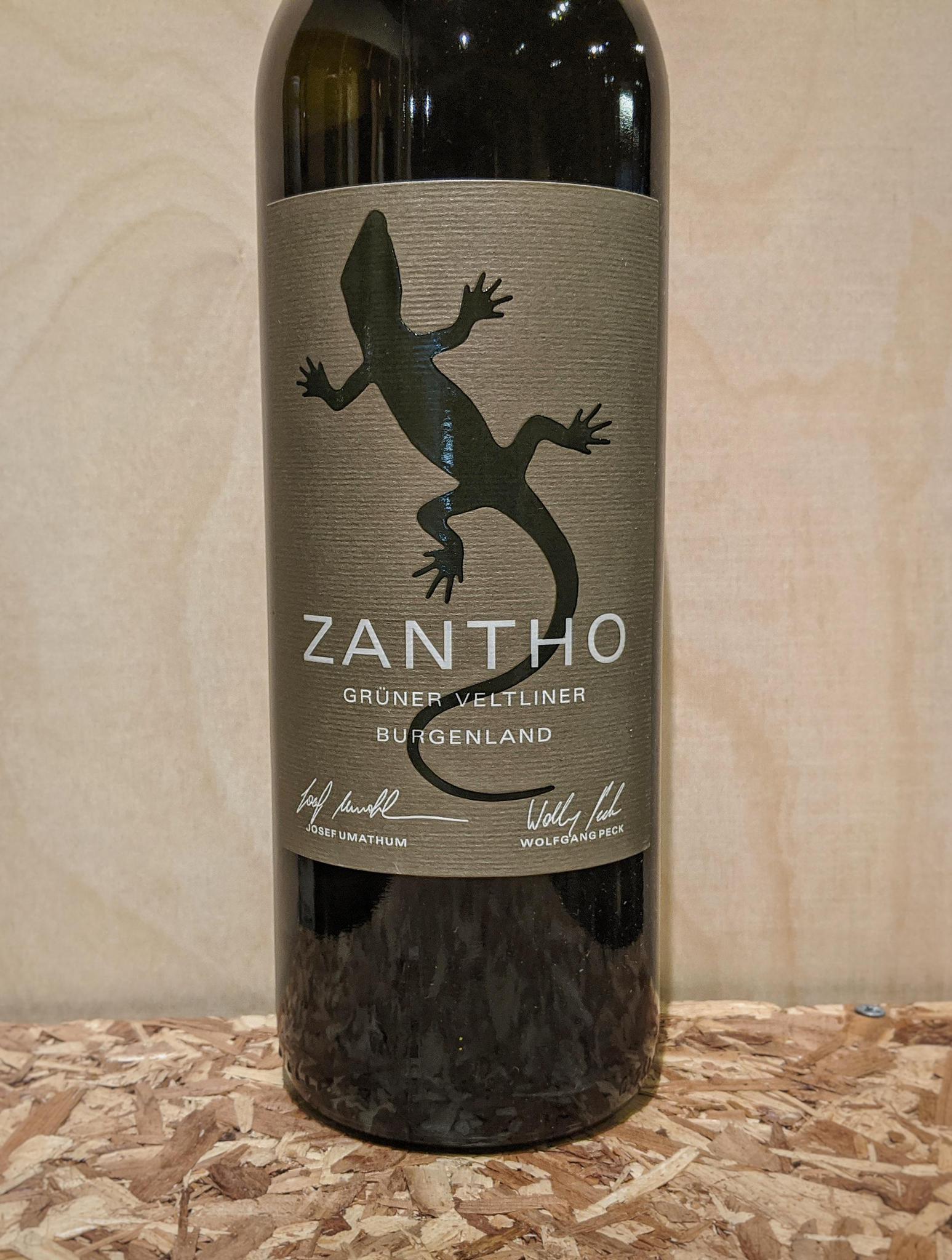 ツィター Anton Kiendl WEIN ツィター Anton Kiendl WEIN ツィター Anton Kiendl WEIN Zither av